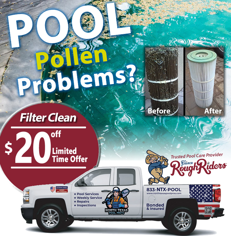 pool filter clean